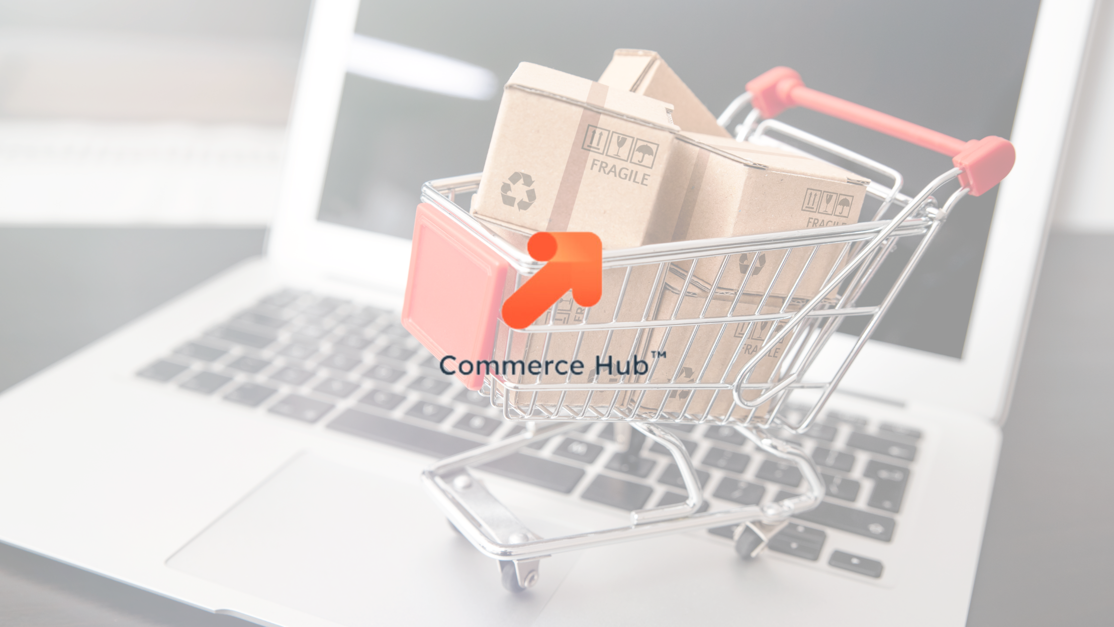 HubSpot Commerce Hub